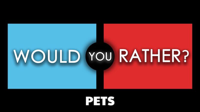 Would You Rather: Pets